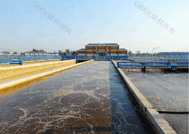 某工业园区高COD废水项目改造